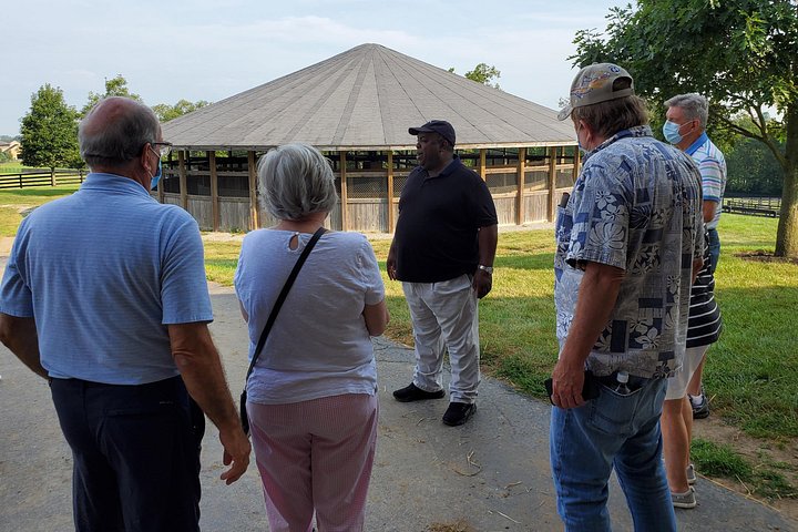 Tour Kentucky's thoroughbred farms, meet horses, and learn about breeding in Lexington, photo 9 | wizardtrip