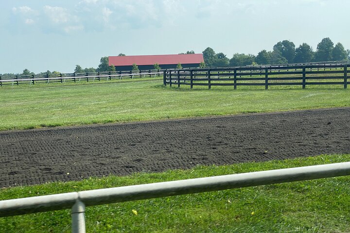 Tour Kentucky's thoroughbred farms, meet horses, and learn about breeding in Lexington, photo 12 | wizardtrip
