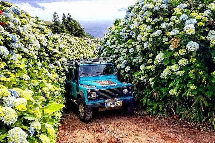 Off-road jeep tour die de kraterrand en meren van Sete Cidades in Ponta Delgada, Azoren, verkent, foto 10 | wizardtrip