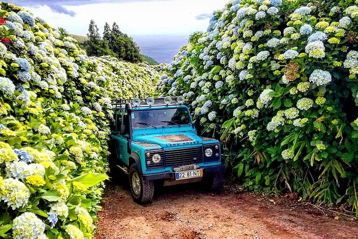 Tour de jipe pelas deslumbrantes paisagens vulcânicas e lagoas gêmeas de Sete Cidades e da Lagoa do Fogo, na ilha de São Miguel, foto 6 | wizardtrip