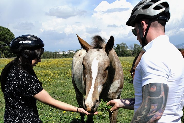 Cykeltur på Roms Appia Antica, udforskning af gamle ruiner og katakomber, foto 8 | wizardtrip