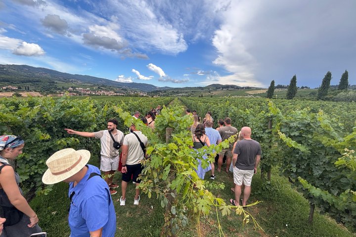 Tuscan countryside wine tasting tour with vineyard visits and wine and olive oil tasting, photo 1 | wizardtrip