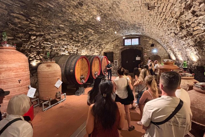 Vinsmakingstur i Toscanas landskap med vingårdsbesøk og smaking av vin og olivenolje, foto 6 | wizardtrip