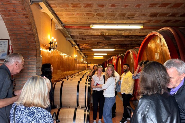 Vinsmakingstur i Toscanas landskap med vingårdsbesøk og smaking av vin og olivenolje, foto 7 | wizardtrip