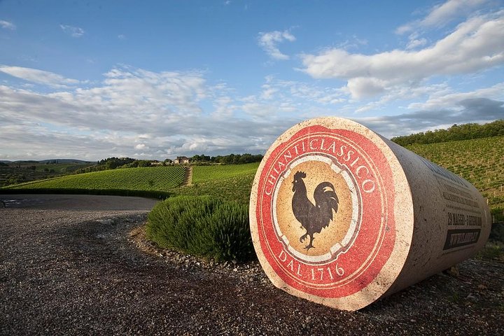 Vinsmakingstur i Toscanas landskap med vingårdsbesøk og smaking av vin og olivenolje, foto 15 | wizardtrip