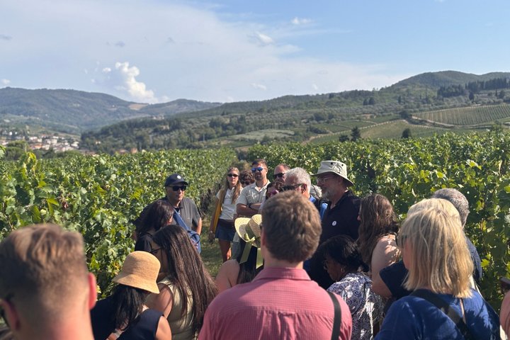 Vinsmakingstur i Toscanas landskap med vingårdsbesøk og smaking av vin og olivenolje, foto 23 | wizardtrip