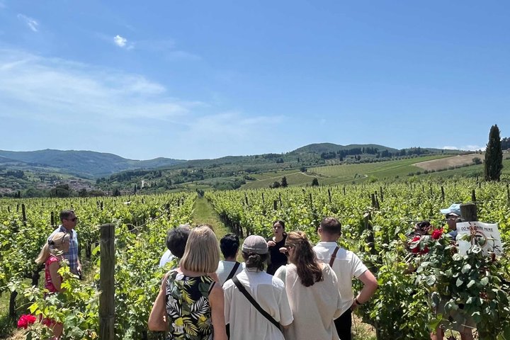 Vinsmakingstur i Toscanas landskap med vingårdsbesøk og smaking av vin og olivenolje, foto 29 | wizardtrip