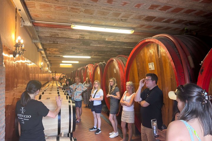 Vinsmakingstur i Toscanas landskap med vingårdsbesøk og smaking av vin og olivenolje, foto 31 | wizardtrip