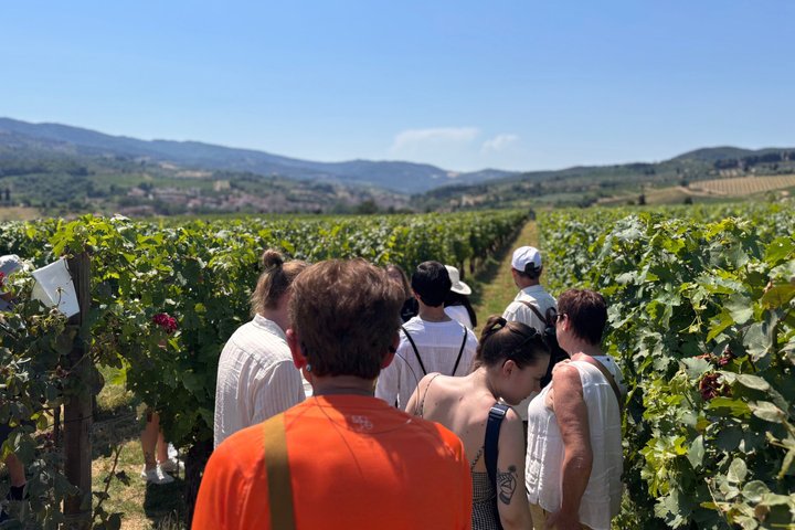 Vinsmakingstur i Toscanas landskap med vingårdsbesøk og smaking av vin og olivenolje, foto 32 | wizardtrip