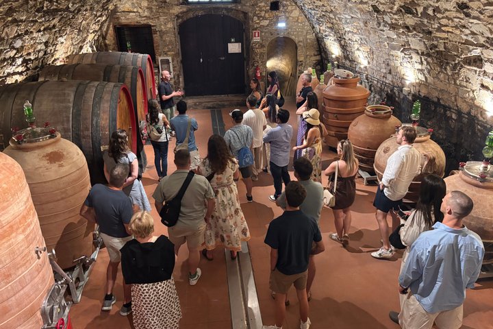 Vinsmakingstur i Toscanas landskap med vingårdsbesøk og smaking av vin og olivenolje, foto 33 | wizardtrip