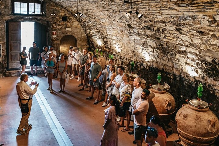 Small Group Tuscan Wineries, Olive Oil & Gourmet Lunch or Dinner | wizardtrip