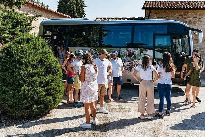 Liten gruppetur gjennom toskanske vingårder og vinprodusenter med vinsmaking og lunsj, foto 7 | wizardtrip