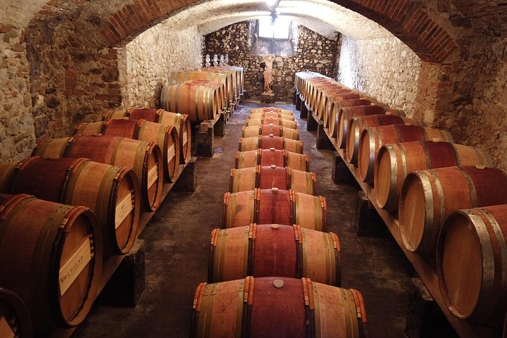 Liten gruppetur gjennom toskanske vingårder og vinprodusenter med vinsmaking og lunsj, foto 9 | wizardtrip