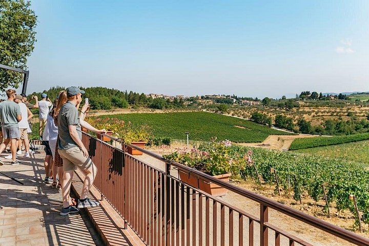 Liten gruppetur gjennom toskanske vingårder og vinprodusenter med vinsmaking og lunsj, foto 13 | wizardtrip