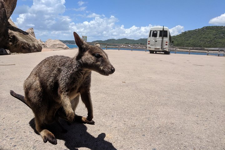 Magnetic Island Tour Maggie Complet | wizardtrip