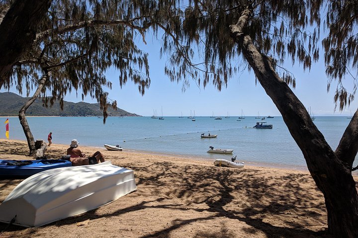 Guided tour of Magnetic Island's scenic roads, wildlife, and historical sites, photo 7 | wizardtrip