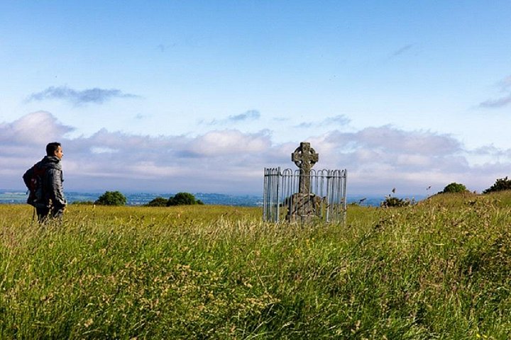 ダブリン発ボイン渓谷の古代ケルト遺跡、城、蒸留所を巡る日帰りツアー、写真6 | wizardtrip