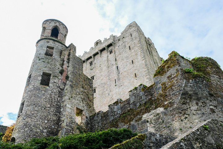 Excursión de un día desde Dublín para explorar tres castillos históricos irlandeses: Blarney Castle, Rock of Cashel y Cahir Castle, foto 10 | wizardtrip