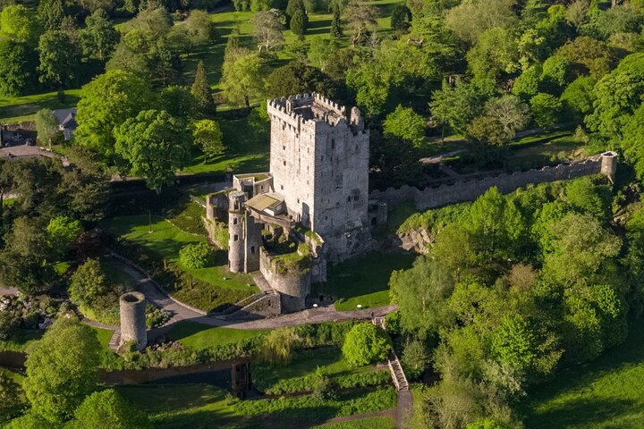 Excursión de un día desde Dublín para explorar tres castillos históricos irlandeses: Blarney Castle, Rock of Cashel y Cahir Castle, foto 11 | wizardtrip