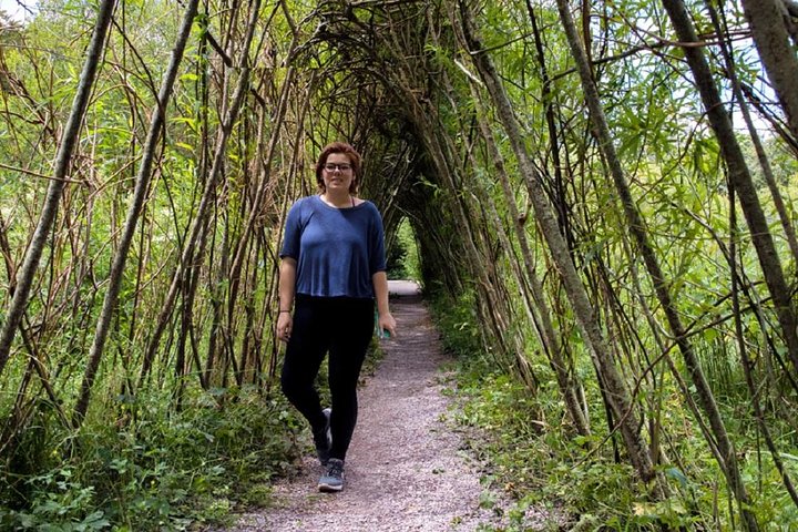 Excursión de un día desde Dublín para explorar tres castillos históricos irlandeses: Blarney Castle, Rock of Cashel y Cahir Castle, foto 13 | wizardtrip