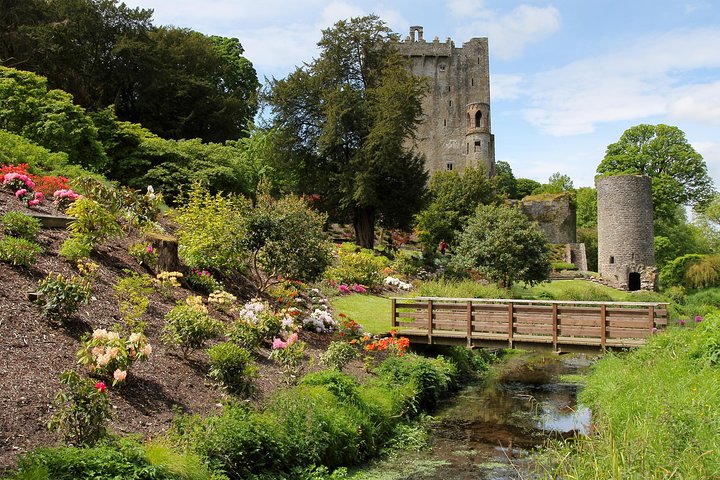 Excursión de un día desde Dublín para explorar tres castillos históricos irlandeses: Blarney Castle, Rock of Cashel y Cahir Castle, foto 16 | wizardtrip