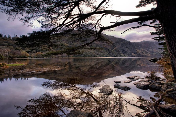 Full-day tour from Dublin showcasing Kilkenny, Wicklow Mountains, Glendalough, and a sheepdog trial, photo 11 | wizardtrip