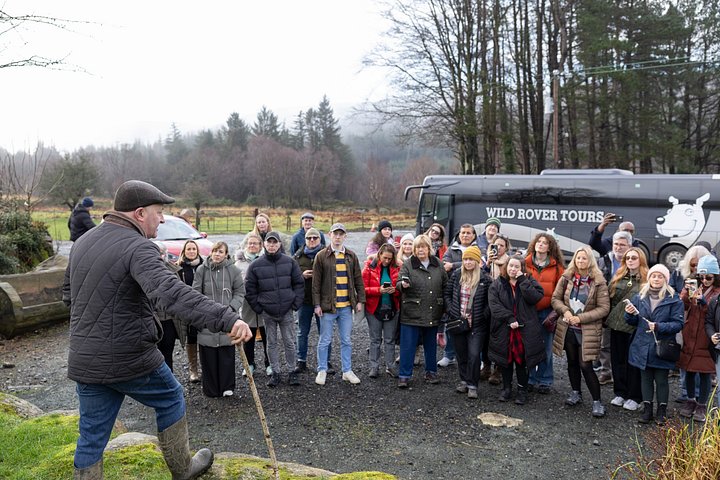 Full-day tour from Dublin showcasing Kilkenny, Wicklow Mountains, Glendalough, and a sheepdog trial, photo 17 | wizardtrip