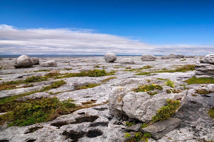 Dagtocht van Dublin naar Cliffs of Moher, Burren en Galway City langs de Wild Atlantic Way, foto 7 | wizardtrip
