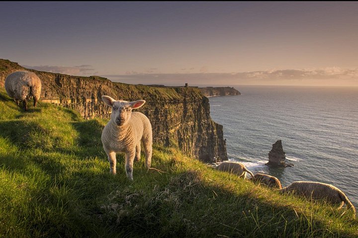 Excursion guidée d'une journée de Dublin aux Falaises de Moher, Ennis et Limerick, photo 6 | wizardtrip
