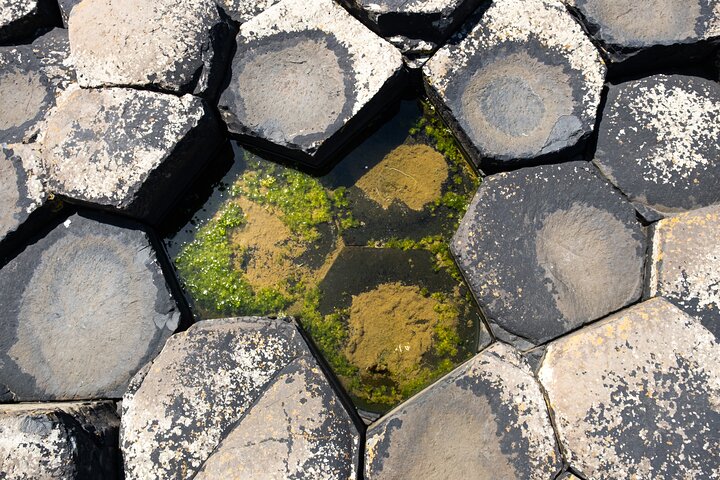 Full-day tour from Dublin to Belfast, visiting the Titanic Experience, Dunluce Castle, and the Giant's Causeway, photo 8 | wizardtrip