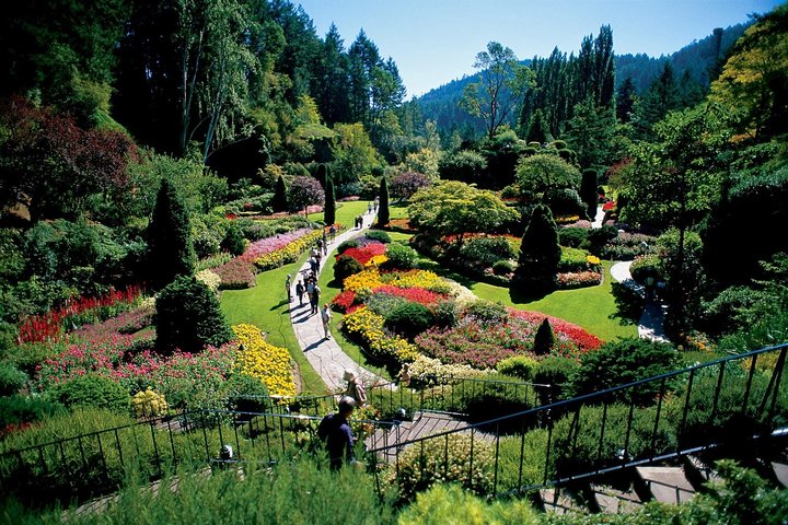 Von Vancouver: Victoria, Butchart Gardens & Golf-Inseln Kreuzfahrt | wizardtrip