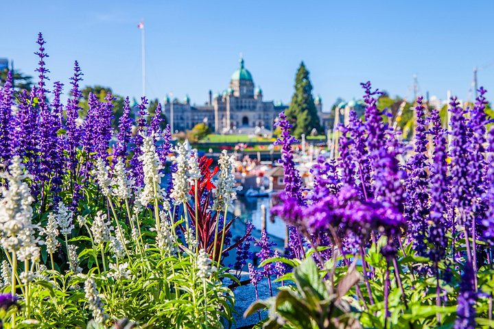 Heldagstur från Vancouver till Victoria och Butchart Gardens, inklusive färja och guidad utforskning, foto 9 | wizardtrip