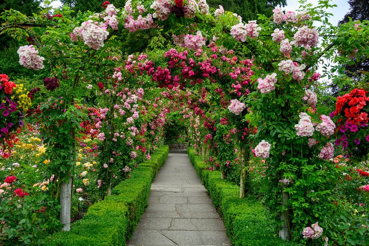 Heldagstur från Vancouver till Victoria och Butchart Gardens, inklusive färja och guidad utforskning, foto 11 | wizardtrip