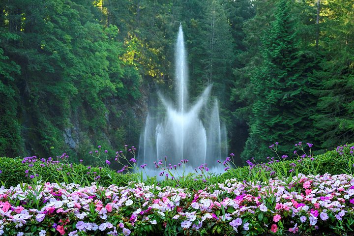 Heldagstur från Vancouver till Victoria och Butchart Gardens, inklusive färja och guidad utforskning, foto 12 | wizardtrip