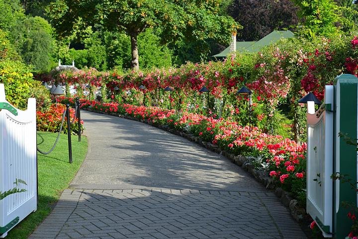 Heldagstur från Vancouver till Victoria och Butchart Gardens, inklusive färja och guidad utforskning, foto 13 | wizardtrip