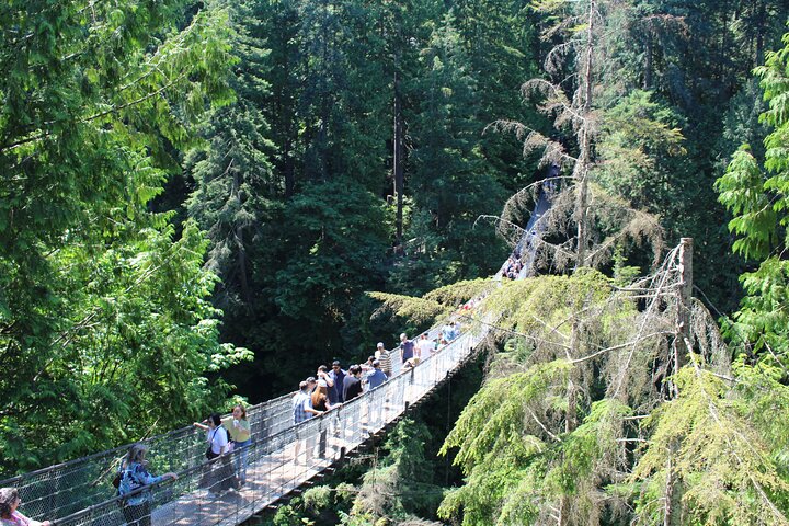 Montagne Grouse, Skyride Gondola & Pont Capilano depuis Vancouver | wizardtrip
