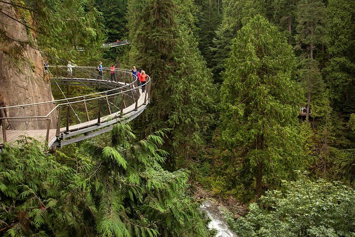 Ervaar de natuurlijke schoonheid van Vancouver met een tour naar Grouse Mountain en de Capilano Suspension Bridge, foto 6 | wizardtrip