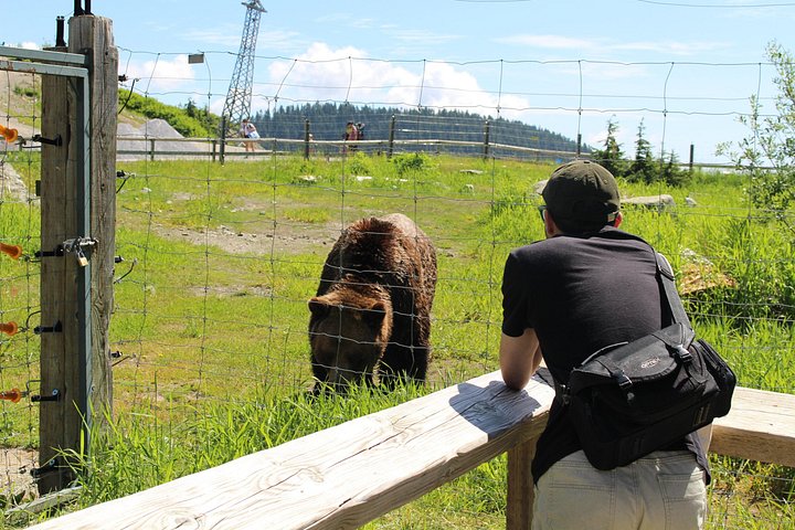 Ervaar de natuurlijke schoonheid van Vancouver met een tour naar Grouse Mountain en de Capilano Suspension Bridge, foto 8 | wizardtrip