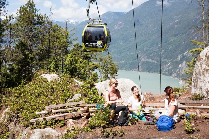 Tour panoramico da Vancouver a Whistler con la Sea to Sky Gondola, Shannon Falls e Whistler Village, foto 7 | wizardtrip