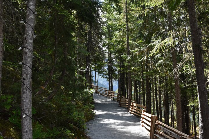 Tour panoramico da Vancouver a Whistler con la Sea to Sky Gondola, Shannon Falls e Whistler Village, foto 11 | wizardtrip