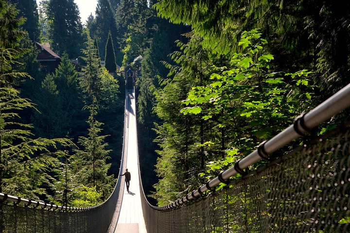 Tour por la ciudad de Vancouver con el Puente Colgante de Capilano, Stanley Park y Granville Island, foto 7 | wizardtrip