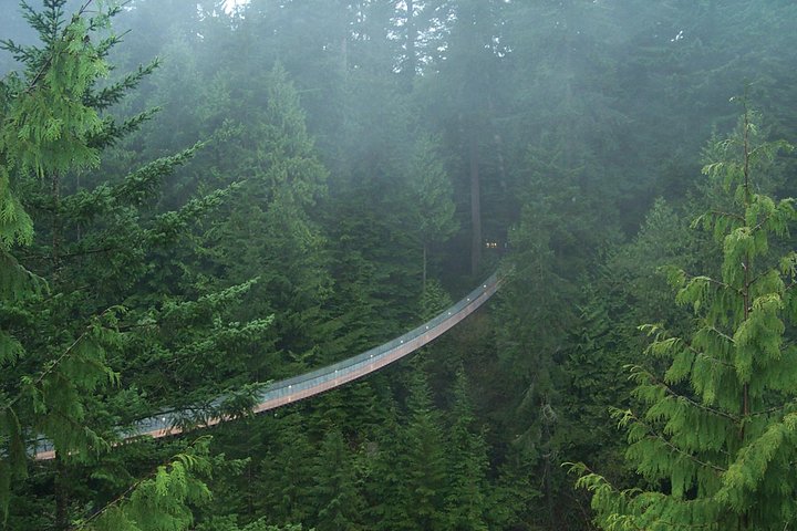 Tour por la ciudad de Vancouver con el Puente Colgante de Capilano, Stanley Park y Granville Island, foto 9 | wizardtrip