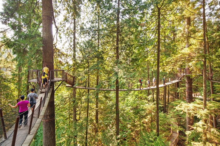 Tour por la ciudad de Vancouver con el Puente Colgante de Capilano, Stanley Park y Granville Island, foto 10 | wizardtrip