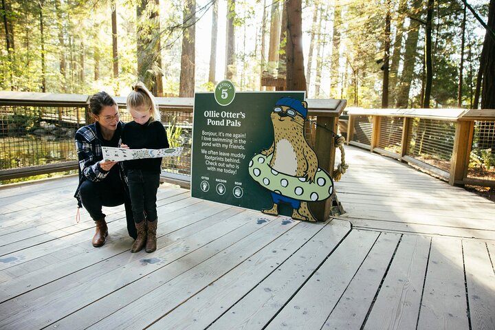 Tour por la ciudad de Vancouver con el Puente Colgante de Capilano, Stanley Park y Granville Island, foto 11 | wizardtrip