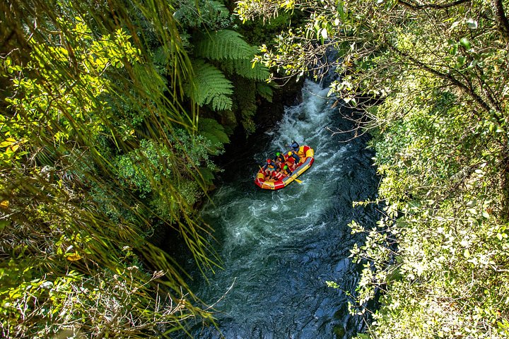 Aufregendes Wildwasser-Rafting-Abenteuer auf den Kaituna-Kaskaden in Tauranga, Neuseeland, Foto 8 | wizardtrip