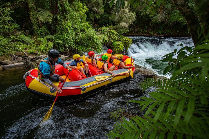 Aufregendes Wildwasser-Rafting-Abenteuer auf den Kaituna-Kaskaden in Tauranga, Neuseeland, Foto 10 | wizardtrip