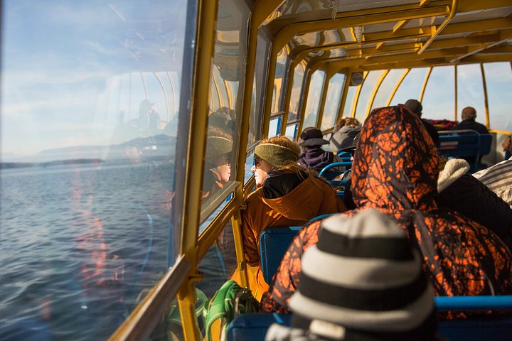 Valsafari med Zodiac i Vancouver, observation av valar och marint liv, foto 17 | wizardtrip