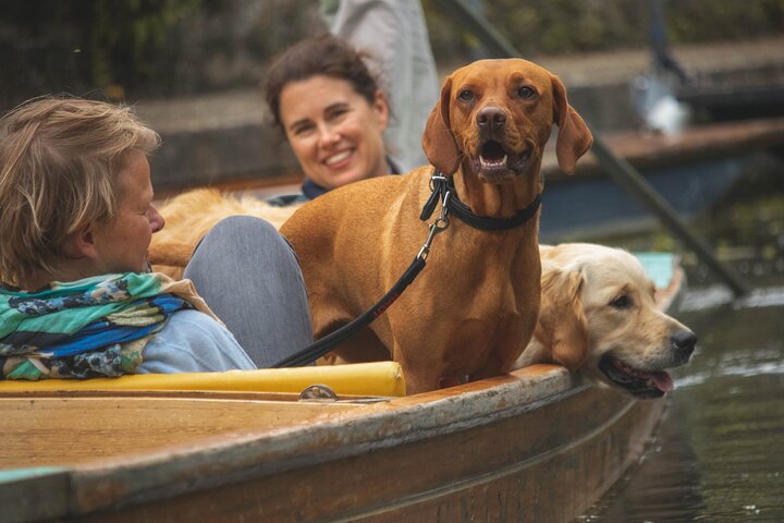 Passeio de barco partilhado no Rio Cam em Cambridge, Inglaterra, foto 12 | wizardtrip