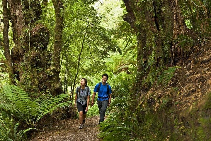 Liten grupptur som utforskar den fantastiska Great Ocean Road och 12 Apostles från Melbourne, foto 6 | wizardtrip