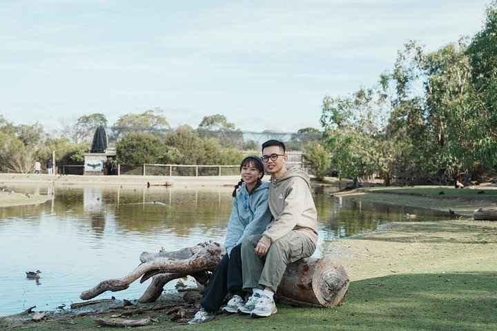 Dyrelivs- og kystsceneri-tur på Phillip Island fra Melbourne, Australien, foto 7 | wizardtrip